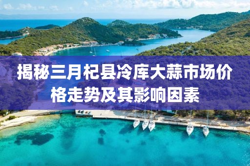 揭秘三月杞縣冷庫大蒜市場價格走勢及其影響因素