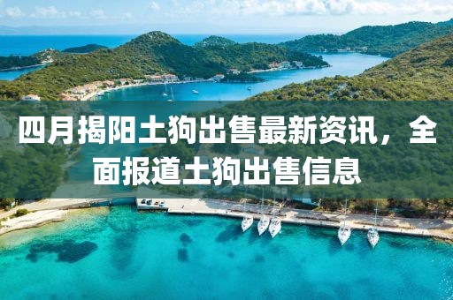 四月揭陽土狗出售最新資訊，全面報道土狗出售信息
