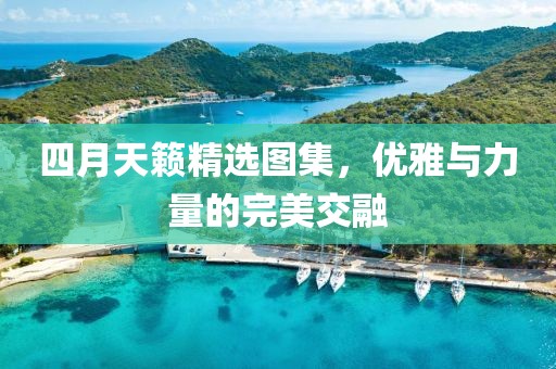 四月天籟精選圖集，優(yōu)雅與力量的完美交融