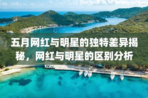 五月網(wǎng)紅與明星的獨(dú)特差異揭秘，網(wǎng)紅與明星的區(qū)別分析