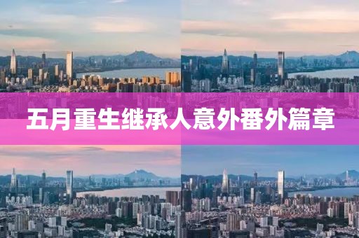 五月重生繼承人意外番外篇章
