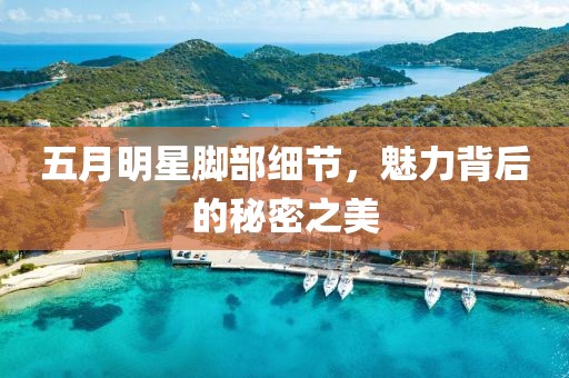 五月明星腳部細(xì)節(jié)，魅力背后的秘密之美