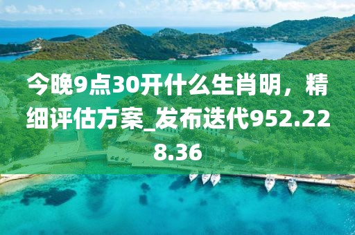 今晚9點30開什么生肖明，精細評估方案_發(fā)布迭代952.228.36