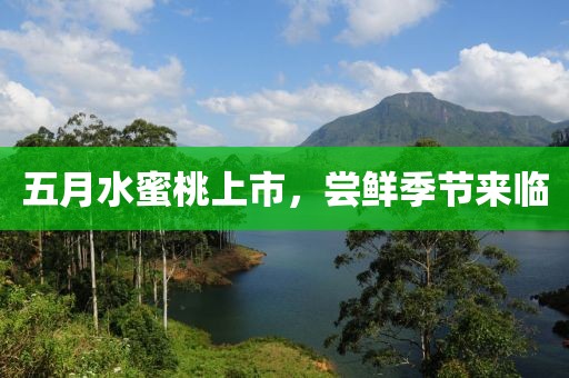 五月水蜜桃上市，嘗鮮季節(jié)來(lái)臨