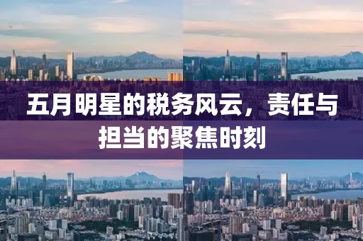 五月明星的稅務(wù)風(fēng)云，責(zé)任與擔(dān)當(dāng)?shù)木劢箷r(shí)刻