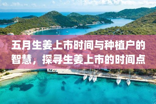 2025年6月1日 第5頁