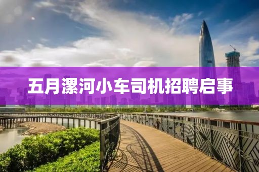 五月漯河小車(chē)司機(jī)招聘啟事