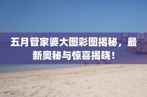 五月管家婆大圖彩圖揭秘，最新奧秘與驚喜揭曉！