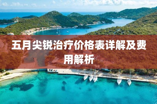五月尖銳治療價格表詳解及費用解析