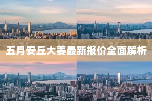 五月安丘大姜最新報價全面解析