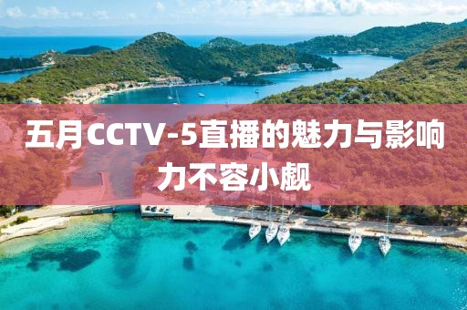 五月CCTV-5直播的魅力與影響力不容小覷