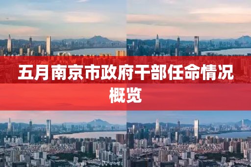 五月南京市政府干部任命情況概覽