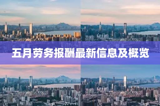 五月勞務(wù)報酬最新信息及概覽