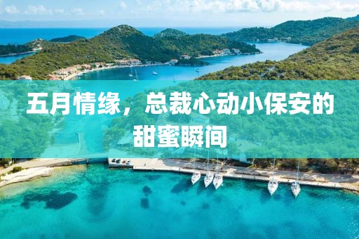 五月情緣，總裁心動小保安的甜蜜瞬間