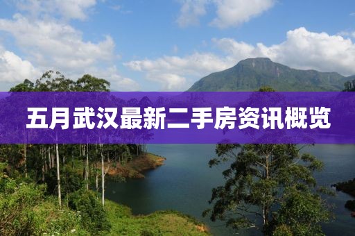 五月武漢最新二手房資訊概覽