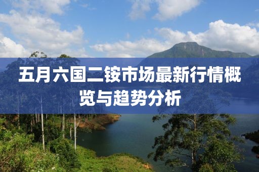 五月六國(guó)二銨市場(chǎng)最新行情概覽與趨勢(shì)分析
