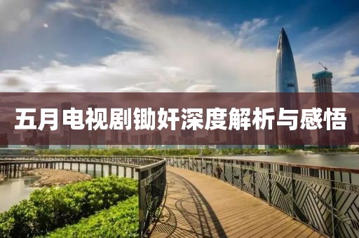 五月電視劇鋤奸深度解析與感悟