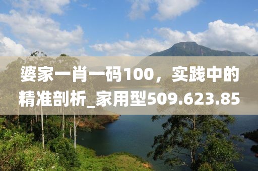 洛洛微光暖 第47頁