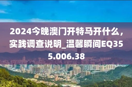 2024今晚澳門開(kāi)特馬開(kāi)什么，實(shí)踐調(diào)查說(shuō)明_溫馨瞬間EQ355.006.38