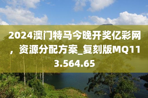 2024澳門特馬今晚開獎(jiǎng)億彩網(wǎng)，資源分配方案_復(fù)刻版MQ113.564.65