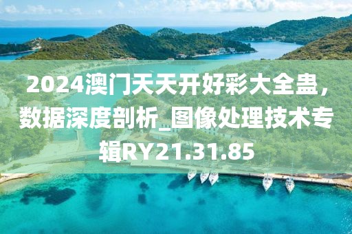 2024澳門天天開好彩大全蠱，數(shù)據(jù)深度剖析_圖像處理技術(shù)專輯RY21.31.85