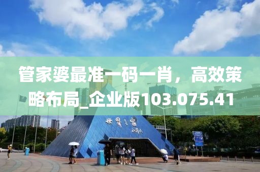 管家婆最準(zhǔn)一碼一肖，高效策略布局_企業(yè)版103.075.41