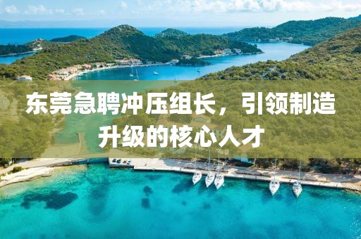 東莞急聘沖壓組長，引領(lǐng)制造升級(jí)的核心人才