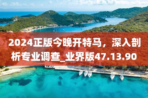 2024正版今晚開特馬，深入剖析專業(yè)調(diào)查_業(yè)界版47.13.90