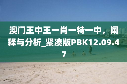 澳門王中王一肖一特一中，闡釋與分析_緊湊版PBK12.09.47