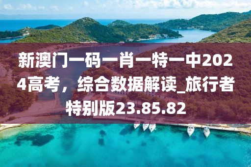 新澳門(mén)一碼一肖一特一中2024高考，綜合數(shù)據(jù)解讀_旅行者特別版23.85.82