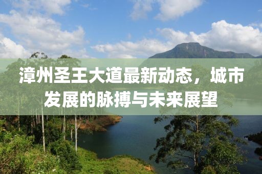 漳州圣王大道最新動(dòng)態(tài)，城市發(fā)展的脈搏與未來展望