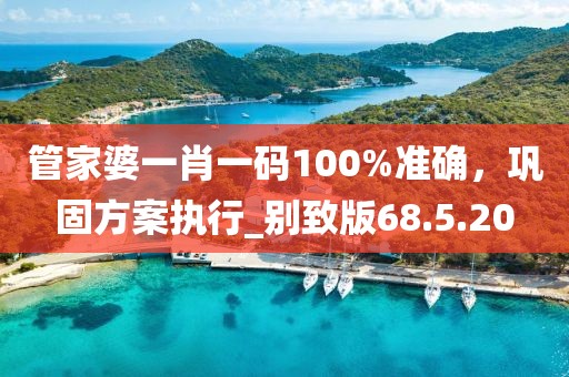 管家婆一肖一碼100%準(zhǔn)確，鞏固方案執(zhí)行_別致版68.5.20