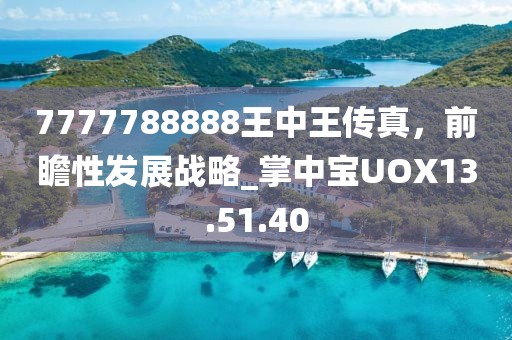 7777788888王中王傳真，前瞻性發(fā)展戰(zhàn)略_掌中寶UOX13.51.40