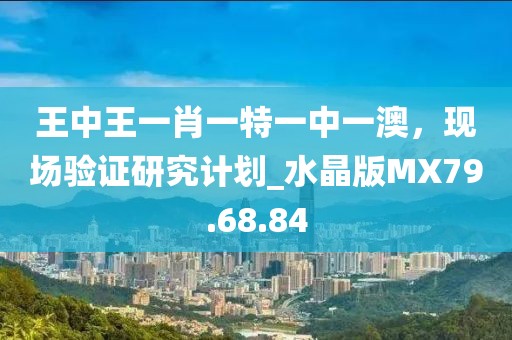 王中王一肖一特一中一澳，現(xiàn)場驗證研究計劃_水晶版MX79.68.84