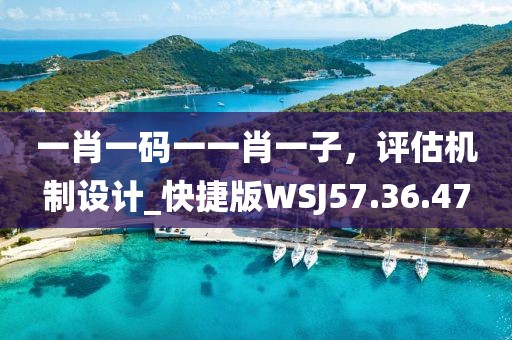 一肖一碼一一肖一子，評估機制設計_快捷版WSJ57.36.47