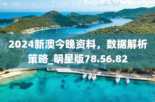 2024新澳今晚資料，數(shù)據(jù)解析策略_明星版78.56.82