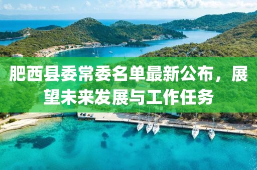 肥西縣委常委名單最新公布，展望未來發(fā)展與工作任務