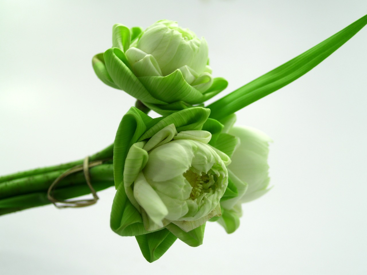 上蔡星懿華府最新動(dòng)態(tài)，揭開未來居住新篇章