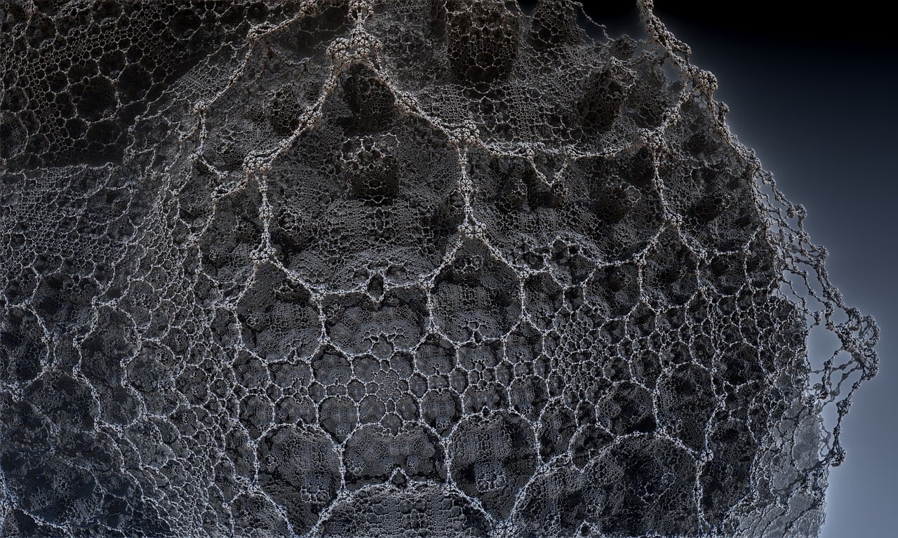 福州溫泉城最新動(dòng)態(tài)，揭開城市溫泉新篇章