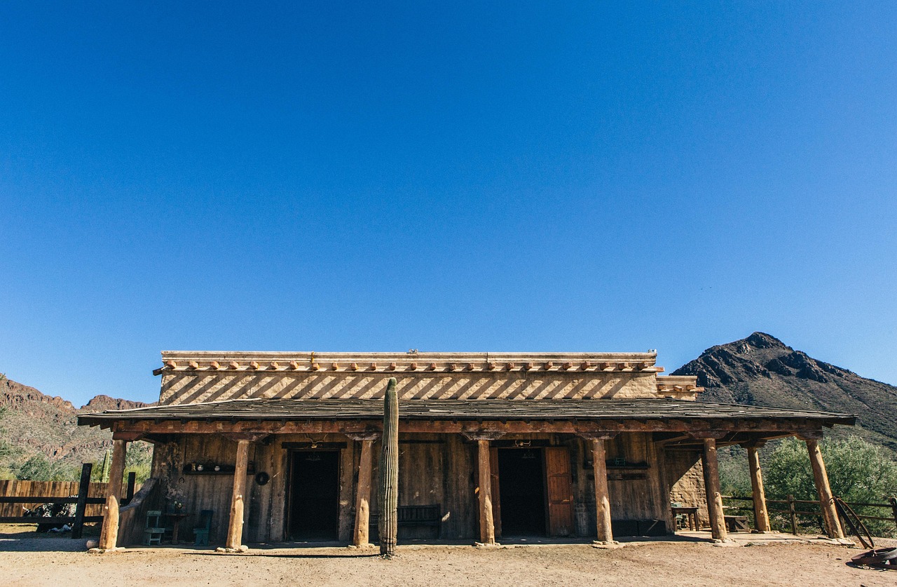 斑馬街電影最新動態(tài)，影視新潮的無限探索