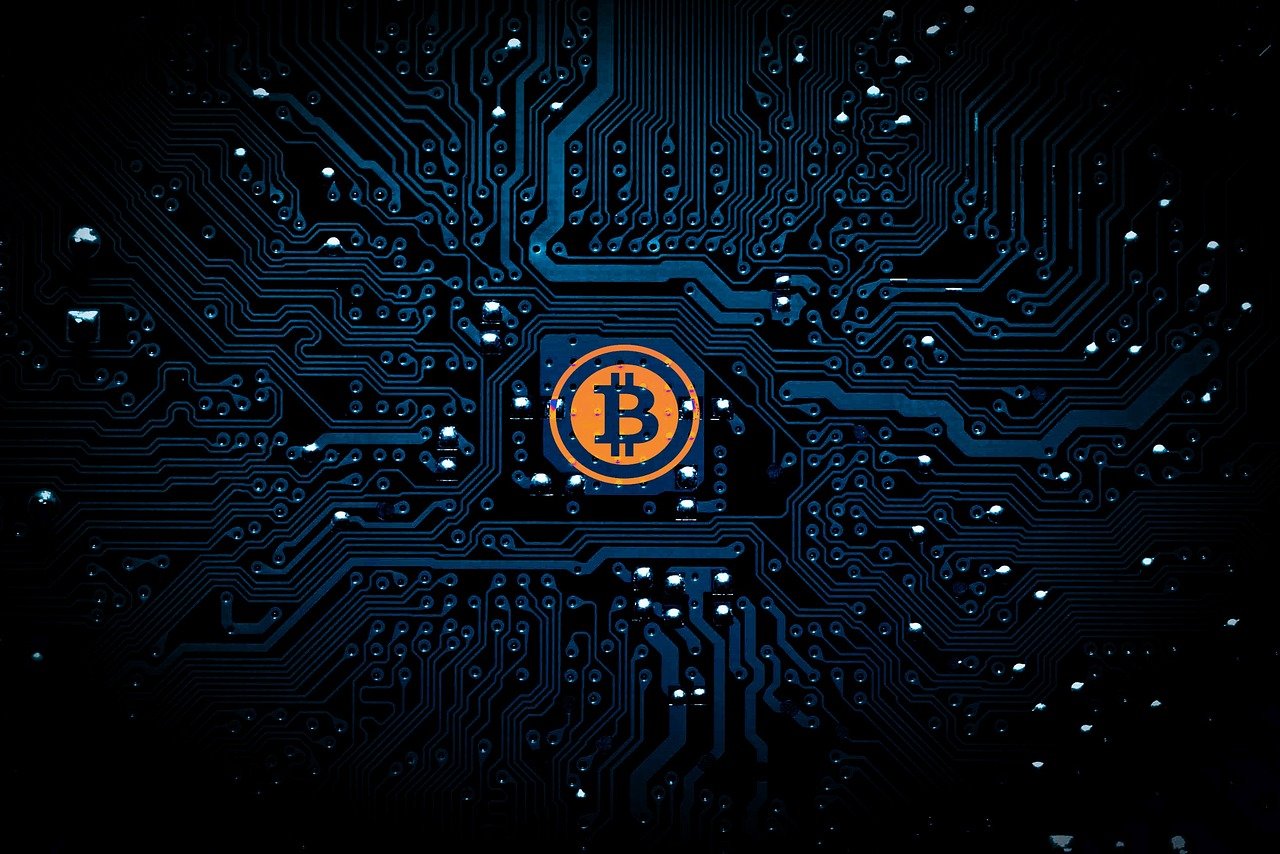 動漫中的生命奇跡，生子世界的探索與虛擬現(xiàn)實的交融