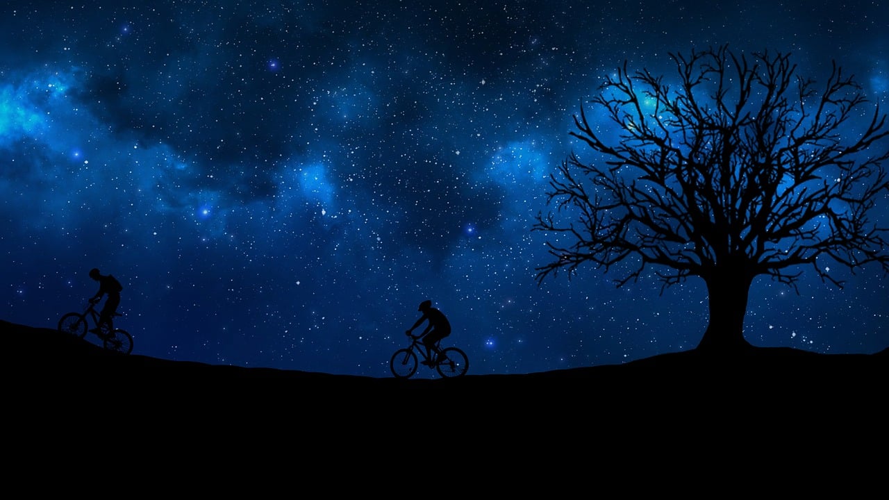 摩羯座明星男的堅韌星輝之路