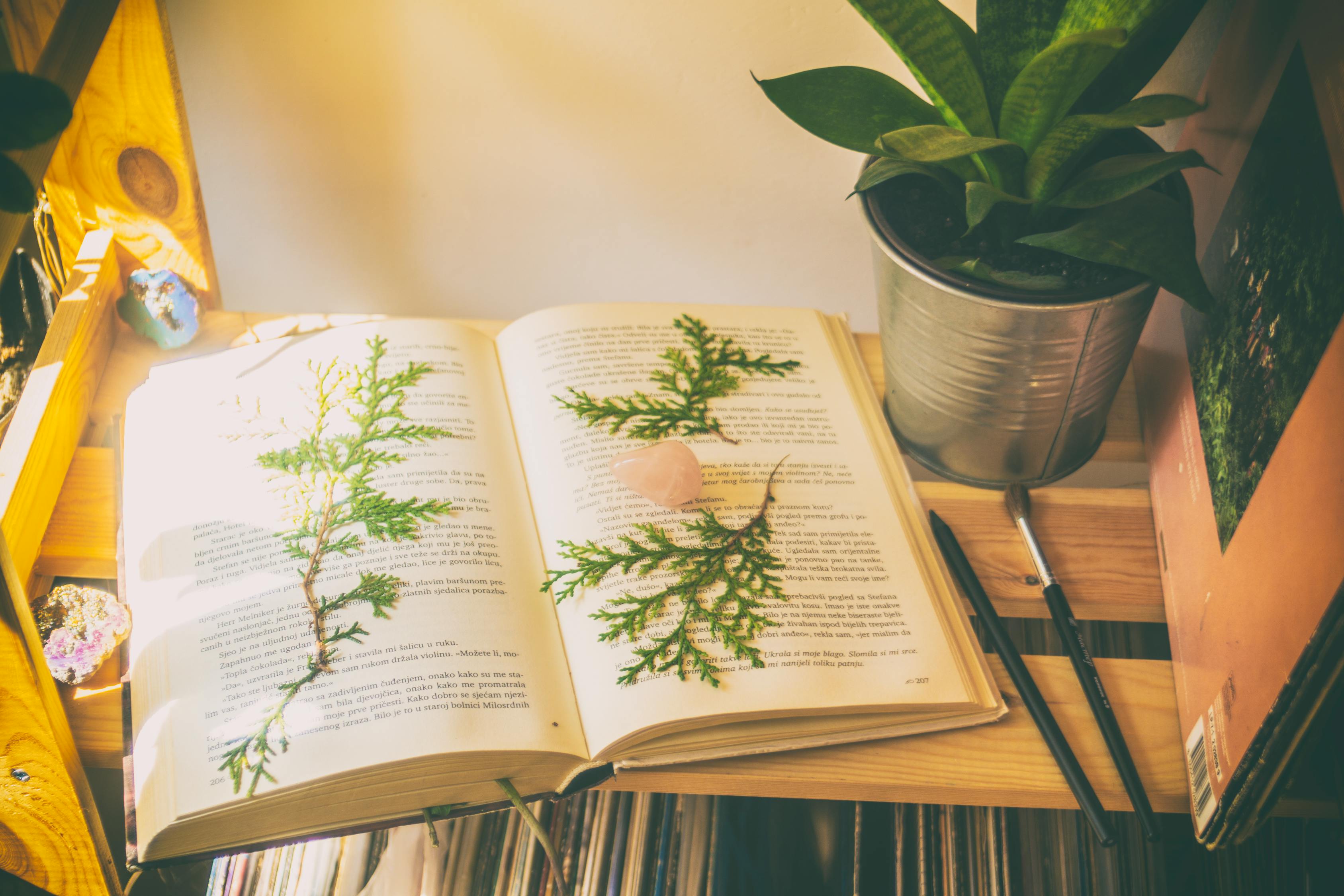 經(jīng)典誦讀比賽的難忘經(jīng)歷與感悟，比賽日記回顧