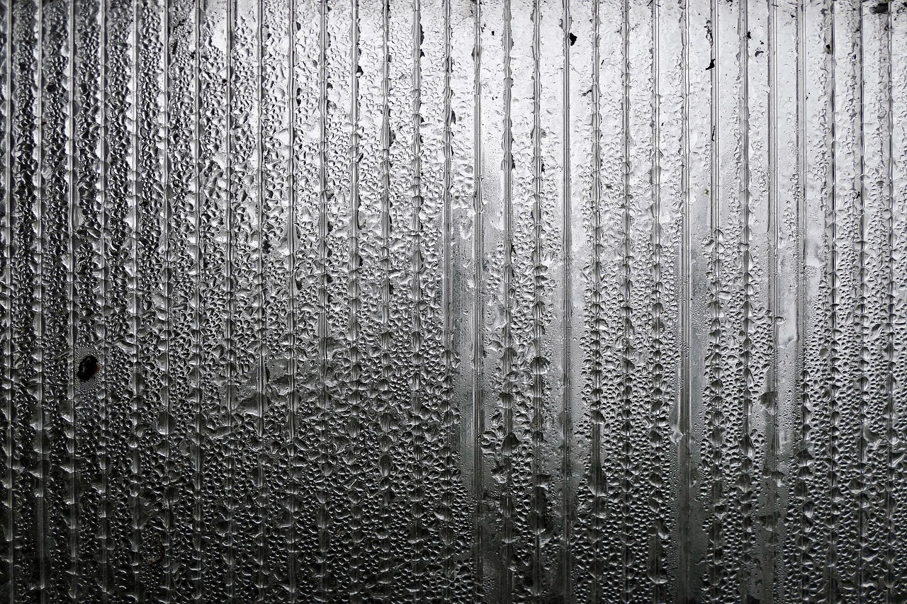 應(yīng)對暴雨天氣及其影響，最新強(qiáng)降雨資訊詳解