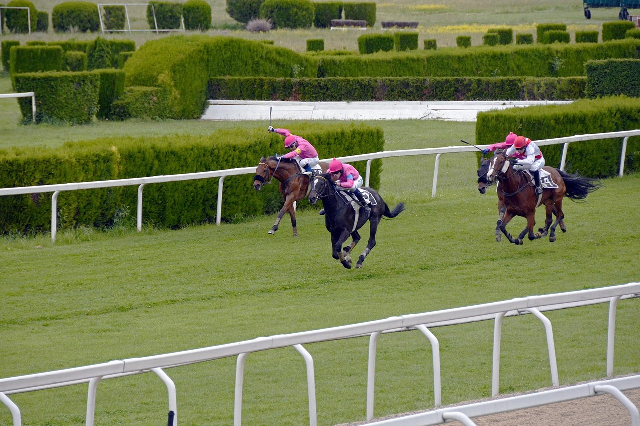 巴西三月賽事，勝利與挫折交織的篇章及比賽結(jié)果回顧