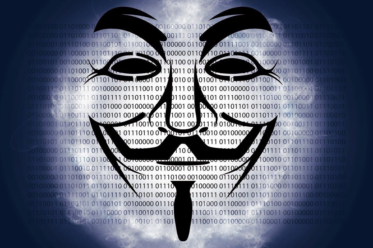 揭秘金吉通最新動(dòng)態(tài)，四月更新概覽