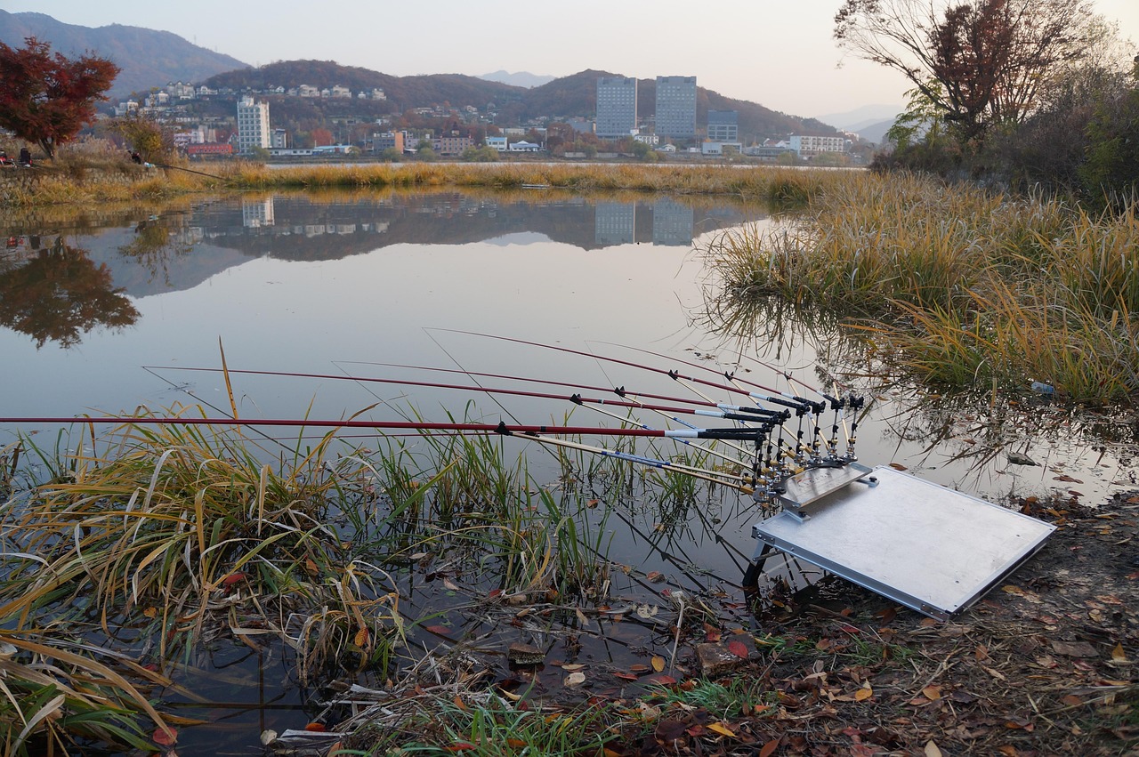 五月最新釣魚技巧詳解，釣魚攻略大揭秘