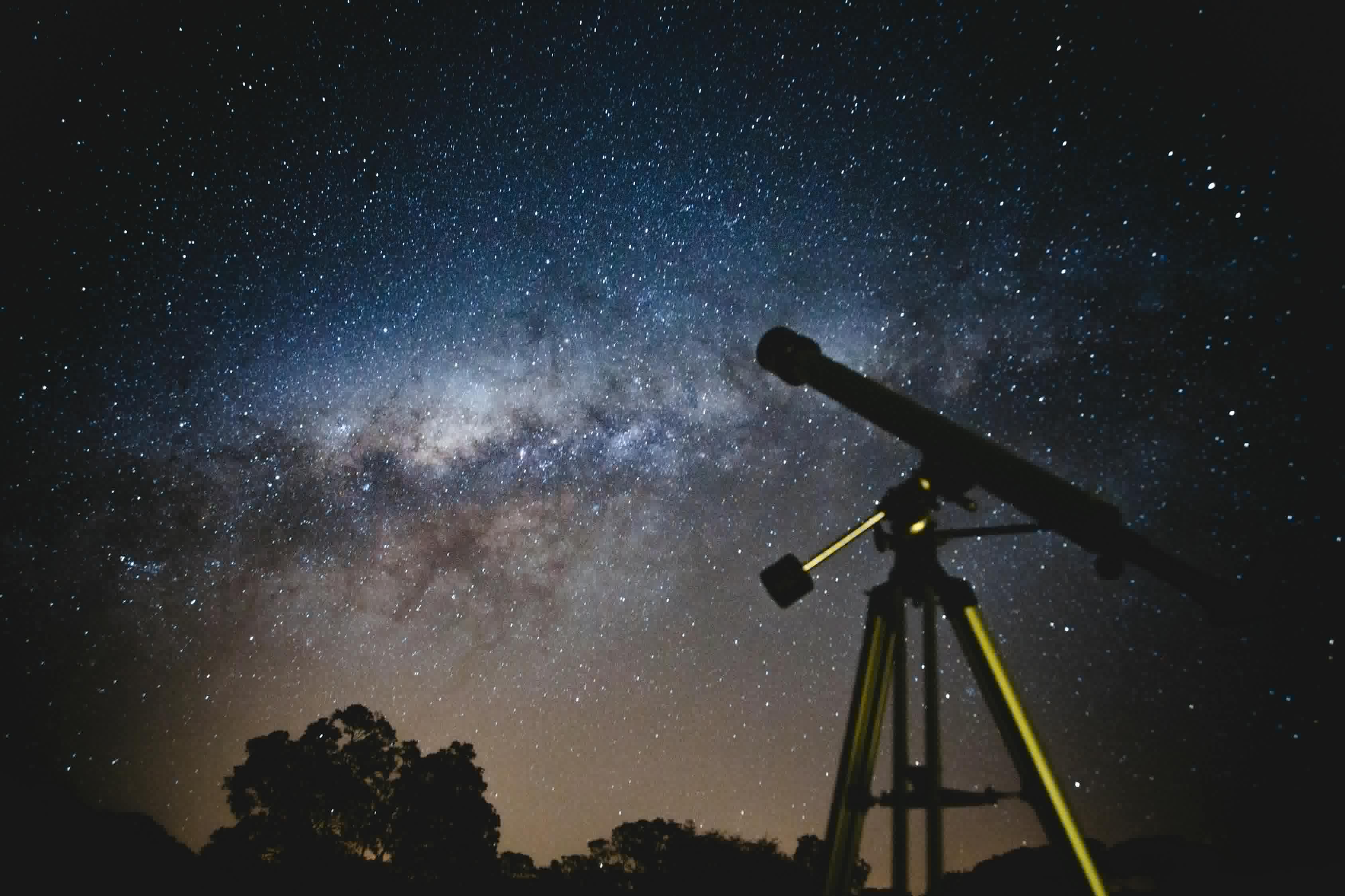 探尋五月與八月出生的明星，5月8日與8月17日的璀璨之星