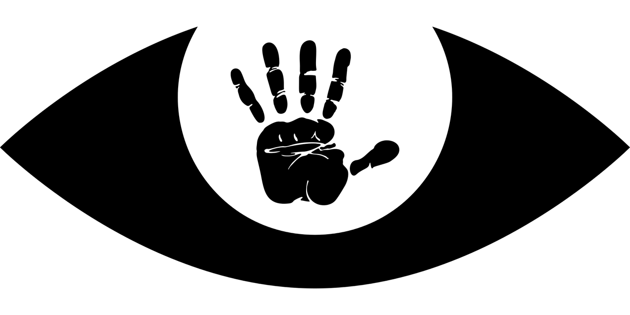 五月白胡子動態(tài)，歲月與智慧的盛宴
