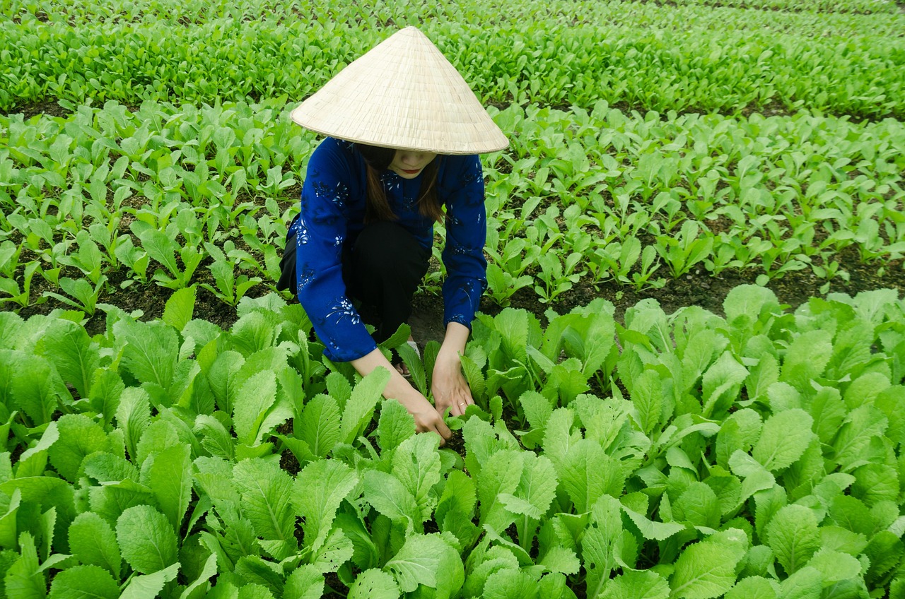 五月株洲站資訊更新，最新動(dòng)態(tài)與未來(lái)發(fā)展展望